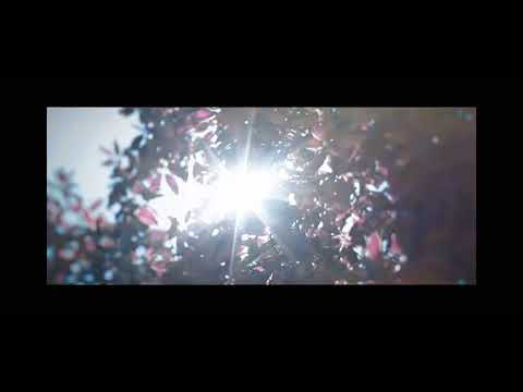 Maja Tripar - Kakšno vreme bo jutri?