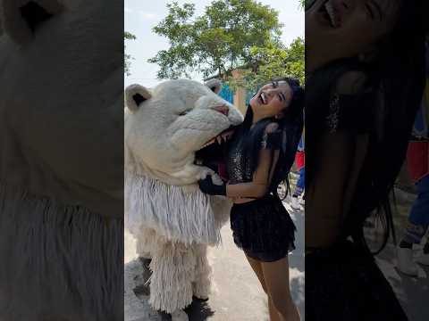 Cewek cantik teriak histeris ketika digigit can macanan