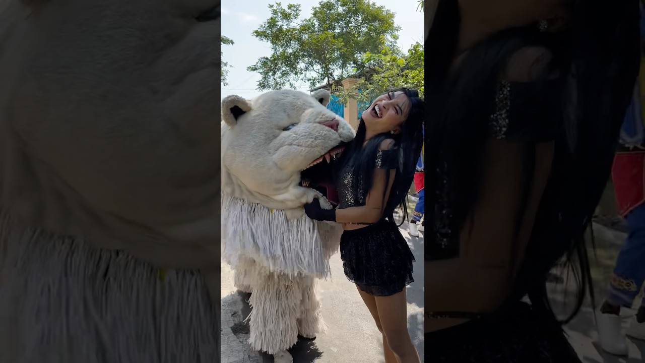 Kejadian Mengejutkan: Cewek Cantik Teriak Histeris Saat Digigit Can Makannya ๐ฑ