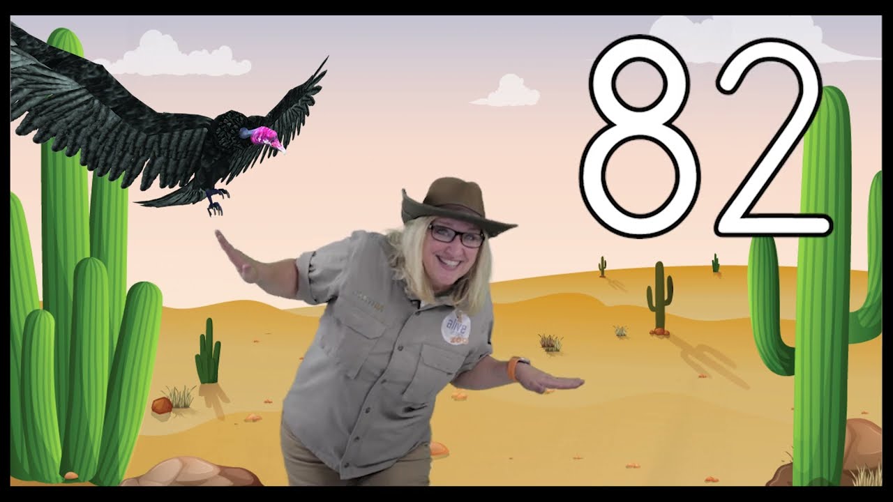 Zoo Crew Counting Song: Count to 100 with Fun 🐾