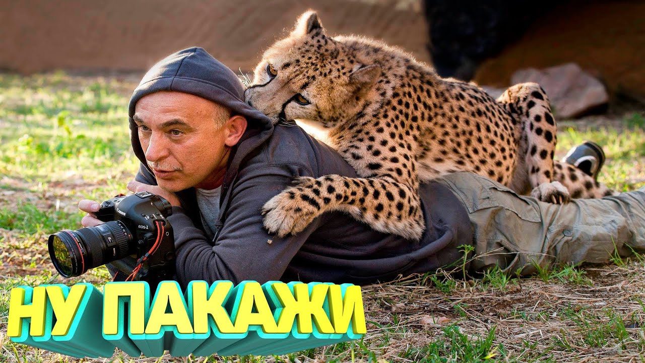 Лучшие приколы 2025 😂 Угар до слёз