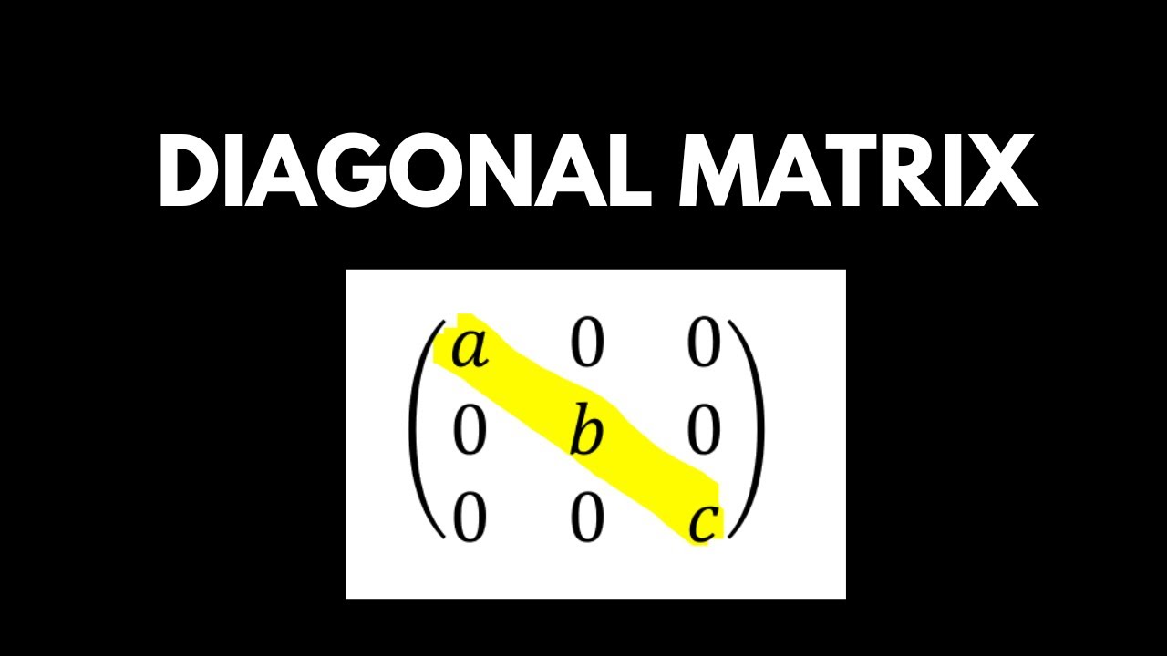 Understanding Diagonal Matrices: Types, Identification & Applications 📊