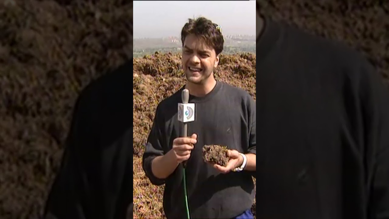 Beyaz Show 23. Bölüm: Komik ve Unutulmaz Anlar