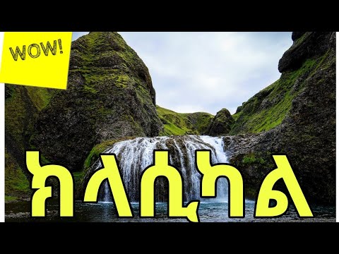 Ethiopian & Eritrean Classical Instrumental Music ๐ถ