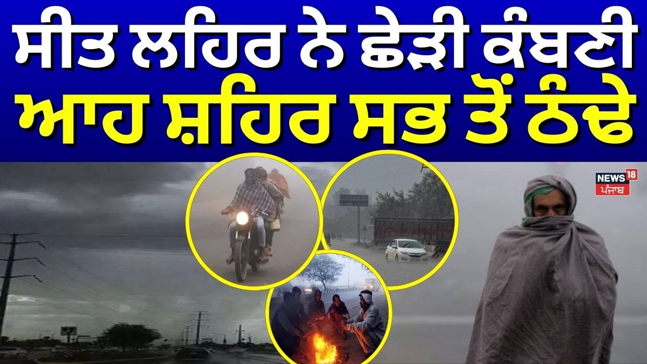 Punjab Cold Wave & Fog Update ❄️