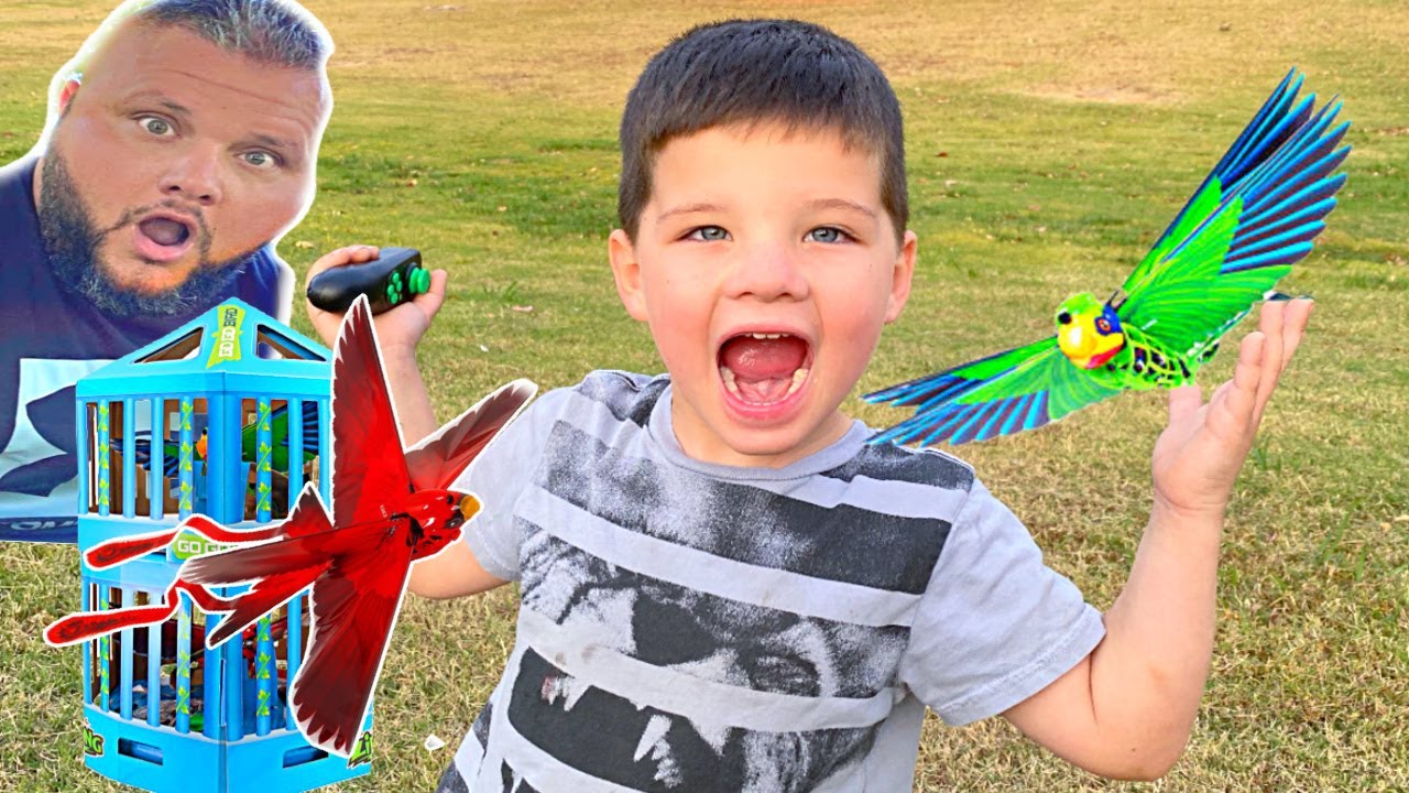 Caleb & Dad Have a Blast with New Go-Go Bird Pet Toys! 🐦
