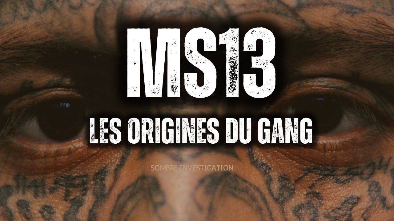 MS-13 : Découvrez l’histoire du gang le plus violent d’Amérique 🇸🇻