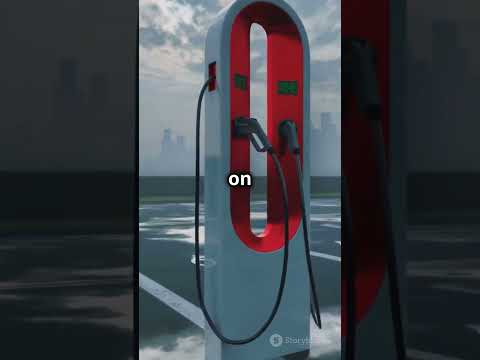 The Potential of Algae as a Biofuel Source