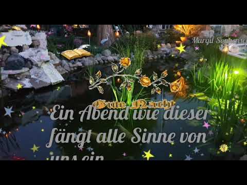 Fragen des Lebens 🌅