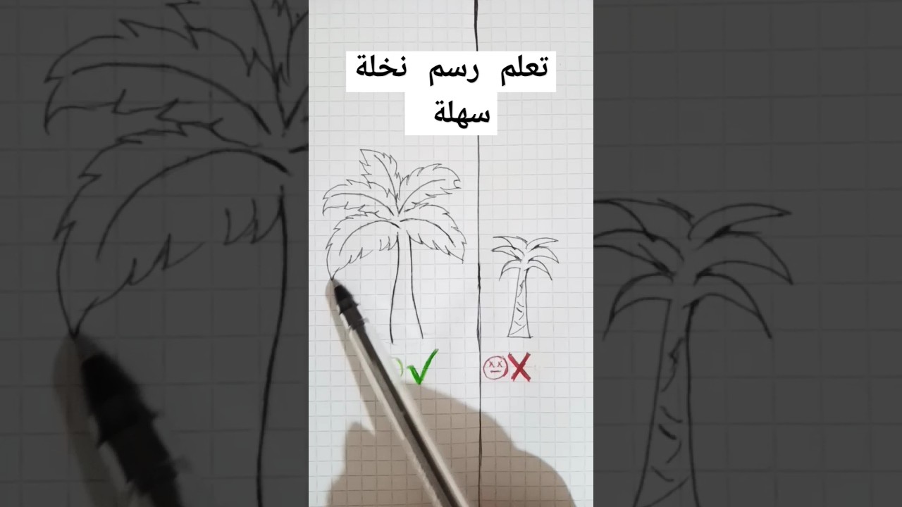 تعلم رسم نخلة بسهولة خطوة بخطوة 🌴