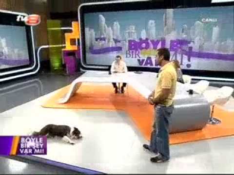 Max, 'Böyle Bir Şey Var Mı?' Programında Şov Yaptı 🎬