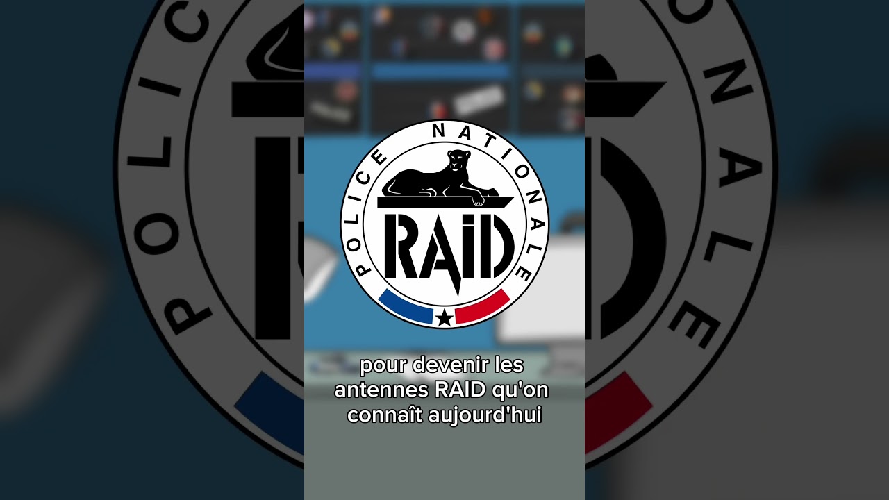 Les différences entre le RAID et la BRI.