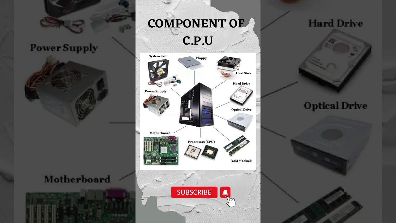 COMPONENT OF C.P.U