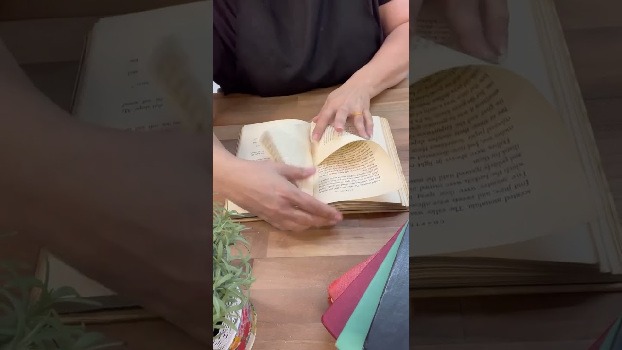 Creative Book Folding DIY for Gallery Walls 📚