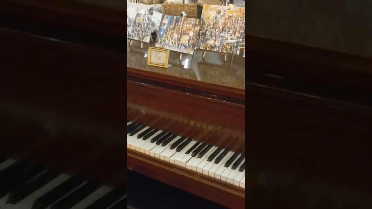 Невидимый музыкант на фортепиано 🎹