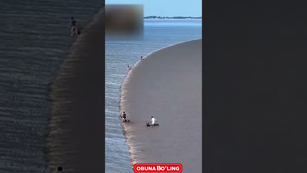 King Ghidorah va Yangi Kinohaqida Qisqa Sharh