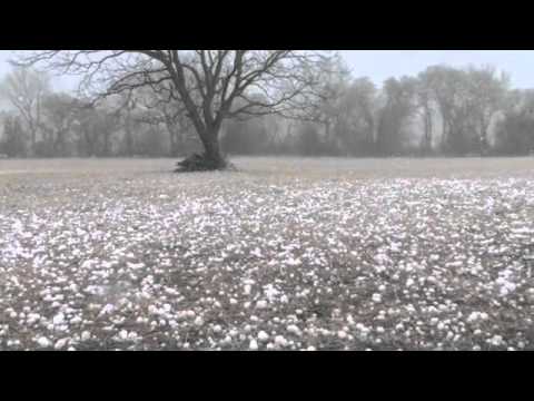 Understanding the 4 Forms of Precipitation 🌧️