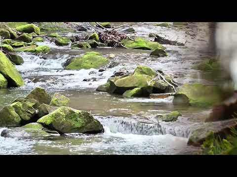 Пробуждение людей