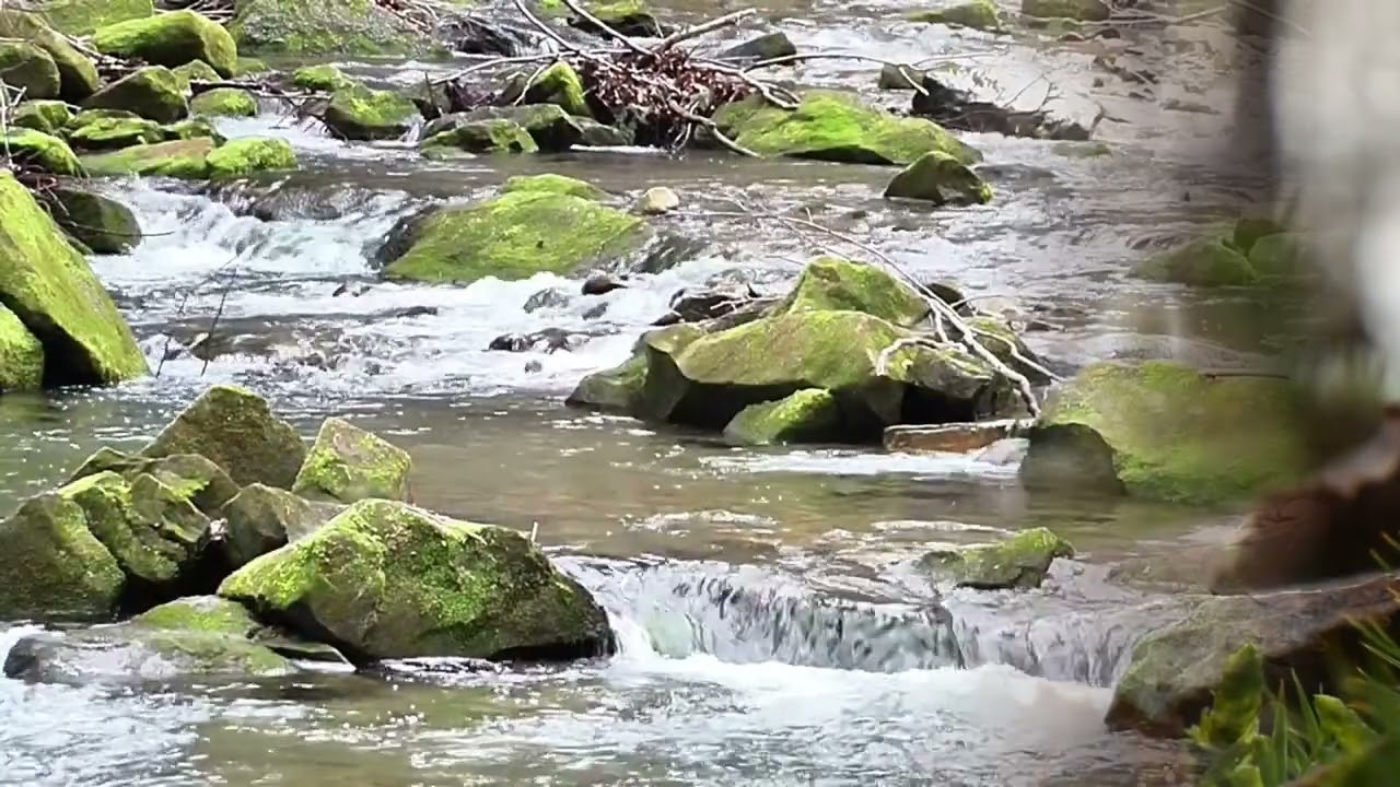 Пробуждение внутреннего света: путь к честности, любви и состраданию ✨