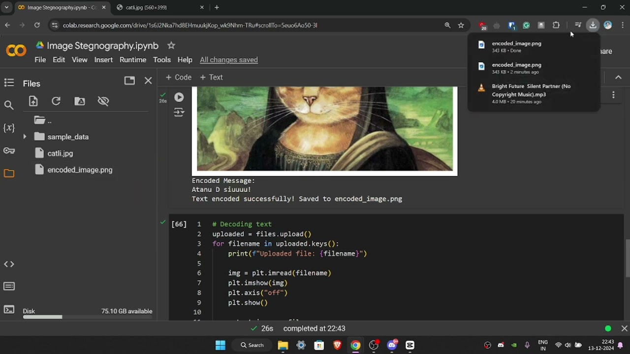 Mastering Image Steganography with LSB Technique 🔍
