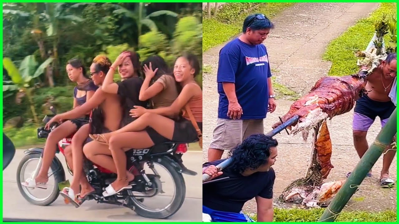 😂 Hilarious Basta Driver Chix Hunter Fail Compilation 2025 | Try Not to Laugh Challenge!