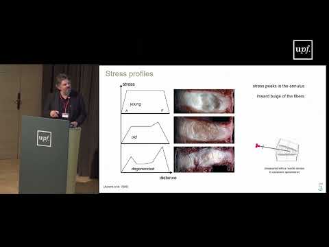 Computational modeling in spine research