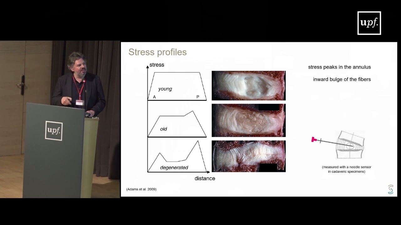 Advances in Computational Modeling for Spine Research 🦴
