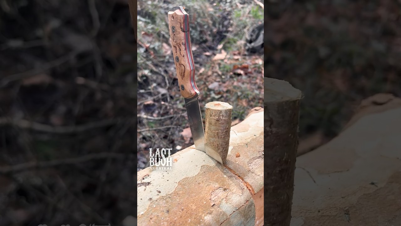 Essential Bushcraft & Survival Tips Every Outdoors Enthusiast Must Know 🏕️