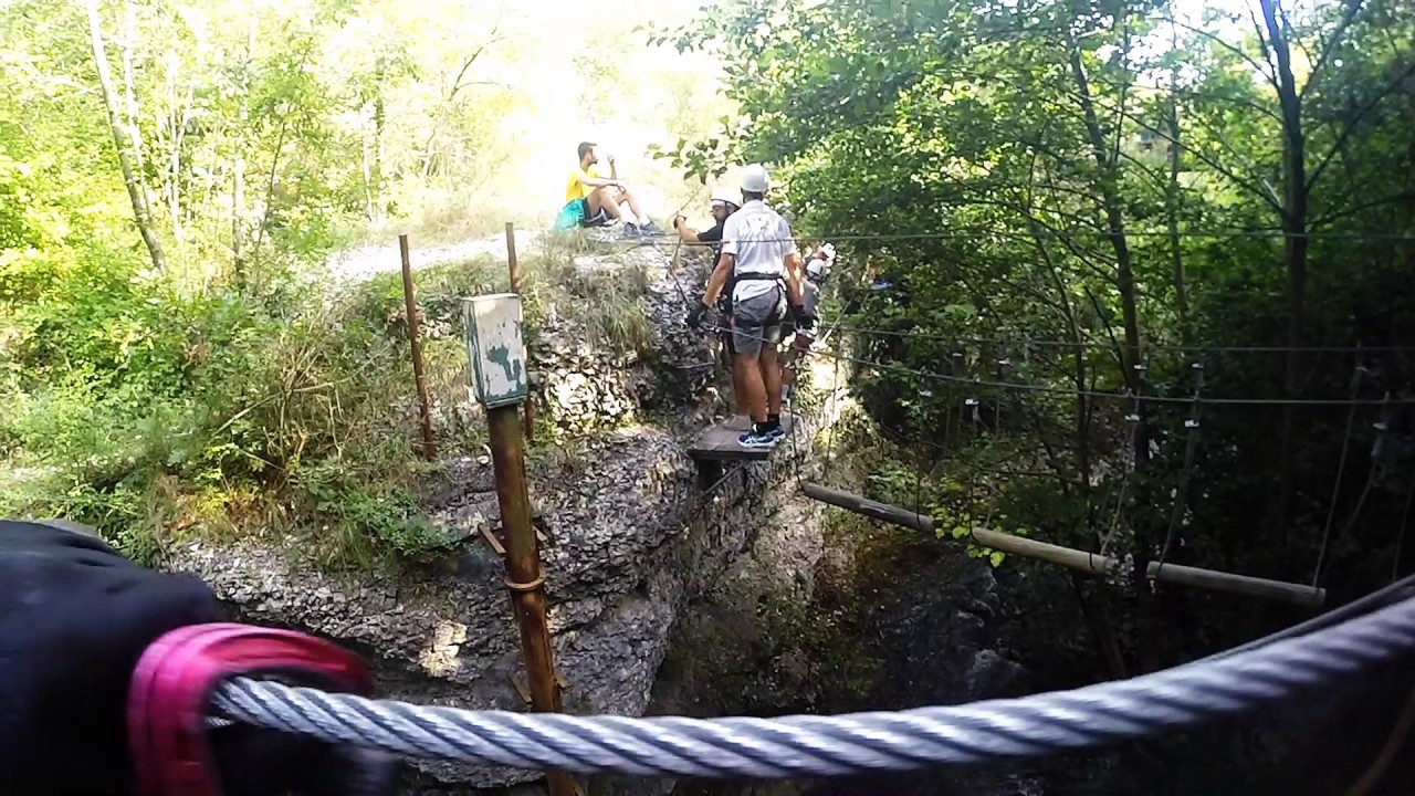 Discover the Excitement at Cingoli Adventure Park 🌿