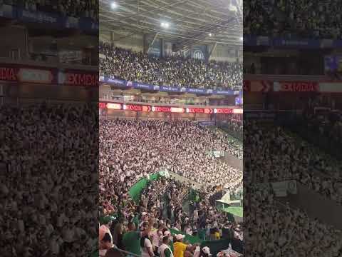 Torcida do Palmeiras na vitĂłria contra o Juventude