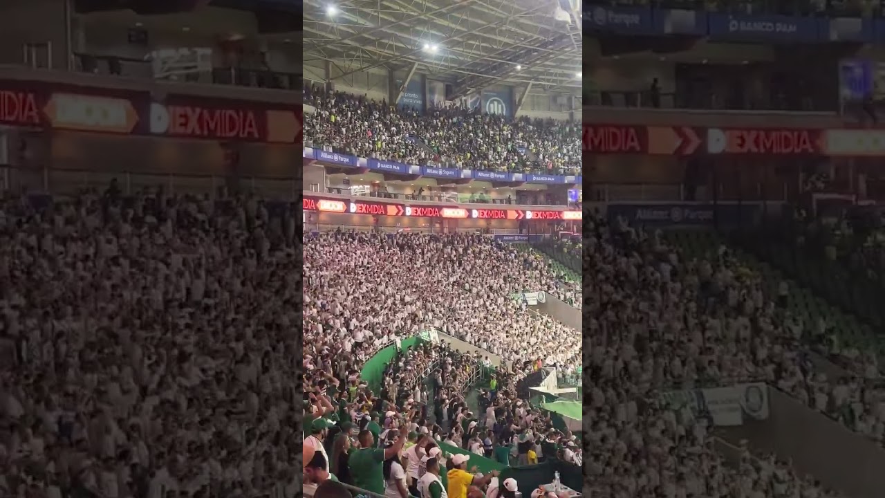 Torcida do Palmeiras Celebrando a Vitória contra o Juventude ⚽