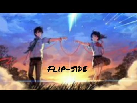 FLIP-SIDE