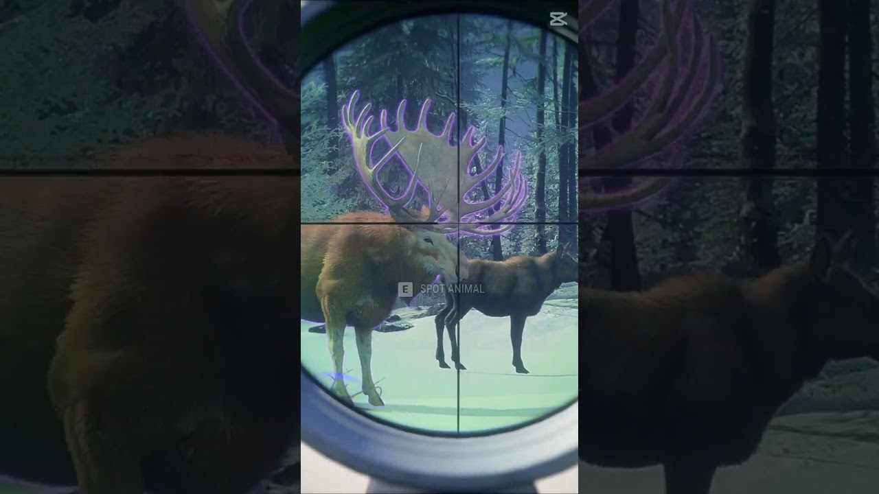 100+ Hours for This Trophy | Hypifed | theHunter