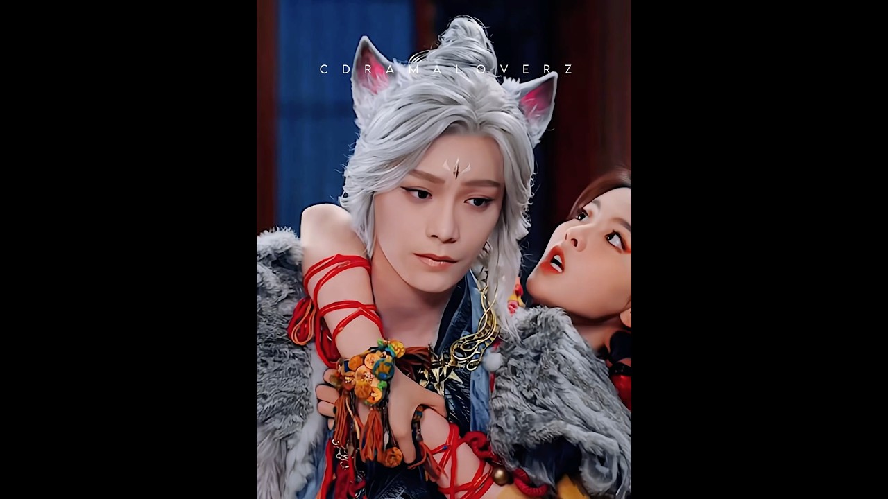 Thinking About Adopting a Cat? Here's What You Need to Know! 🐱