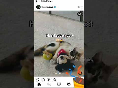 37.bölüm 2.fragmanı🙌🏻🎉 #burakberkayakgül #hazalsubaşı #sahipsizler #azdev #hazbur #edit #dizi