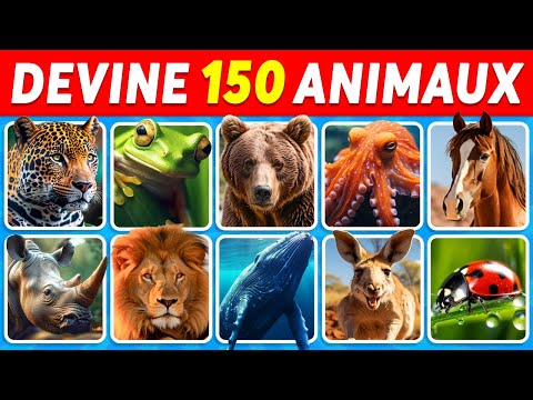 Devine 150 Animaux en 3 Secondes | Quiz Facile, Moyen, Difficile, Impossible