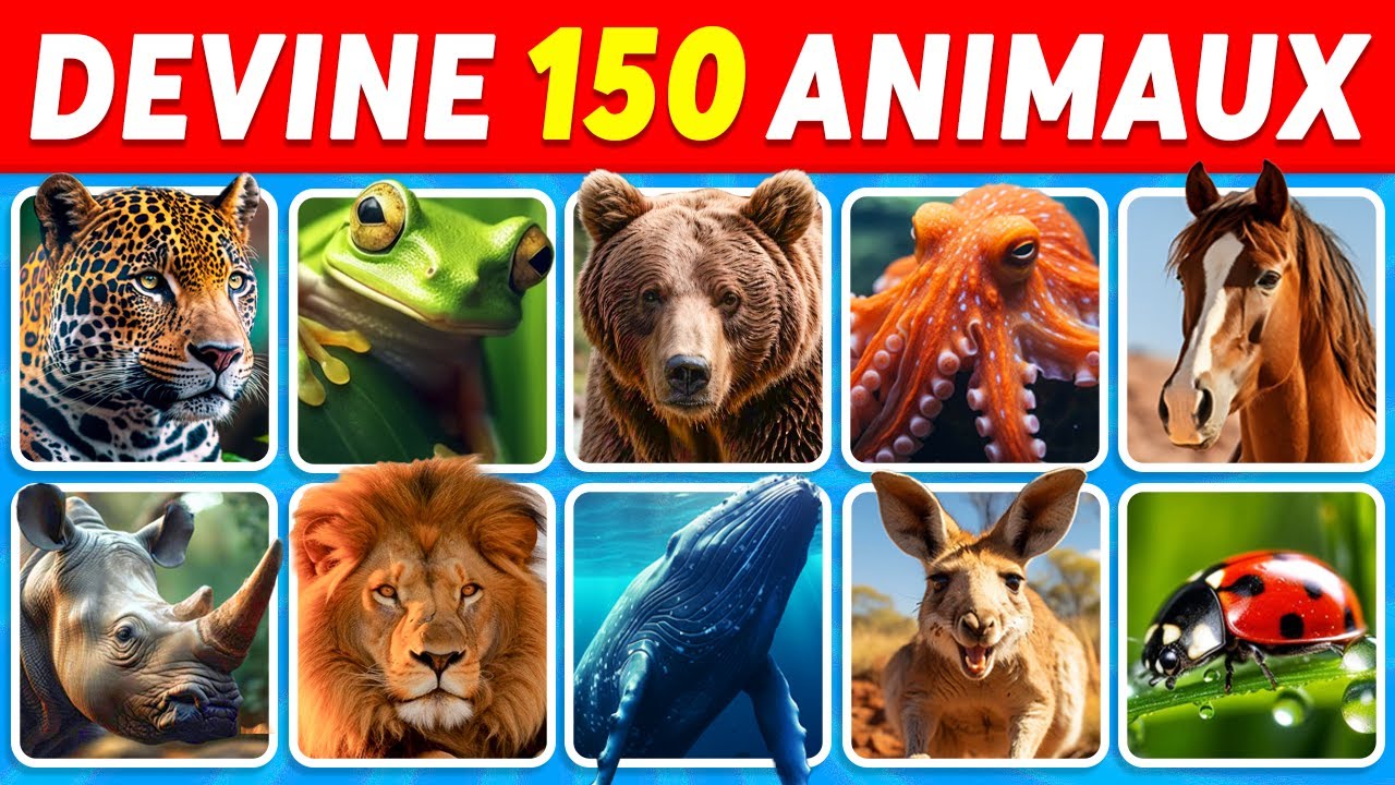Devine 150 Animaux en 3 Secondes | Quiz Facile, Moyen, Difficile, Impossible