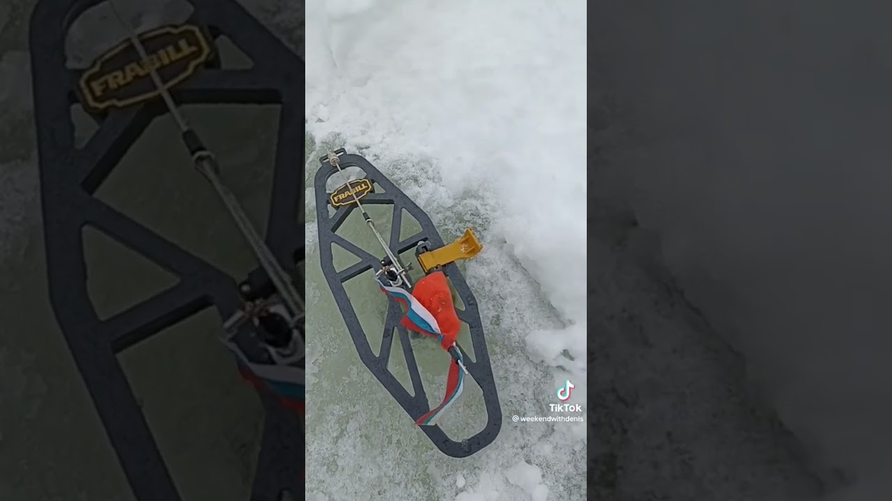 Ловля щуки на жерлицы 2023: Советы и секреты успешной рыбалки 🎣