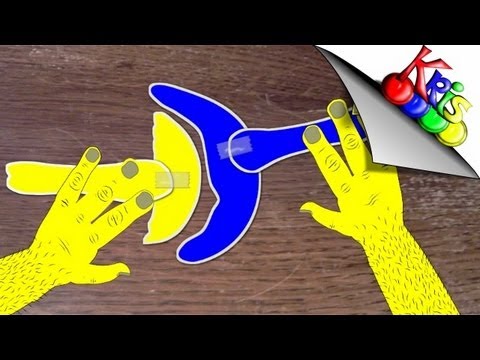 Convex vs Concave Rule in Kinesiology 🏃‍♂️