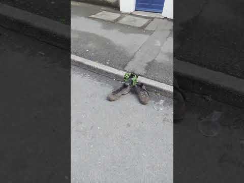 Sheffield city centre Saturday night Sunday morning meets full Monty what is the cause of this?