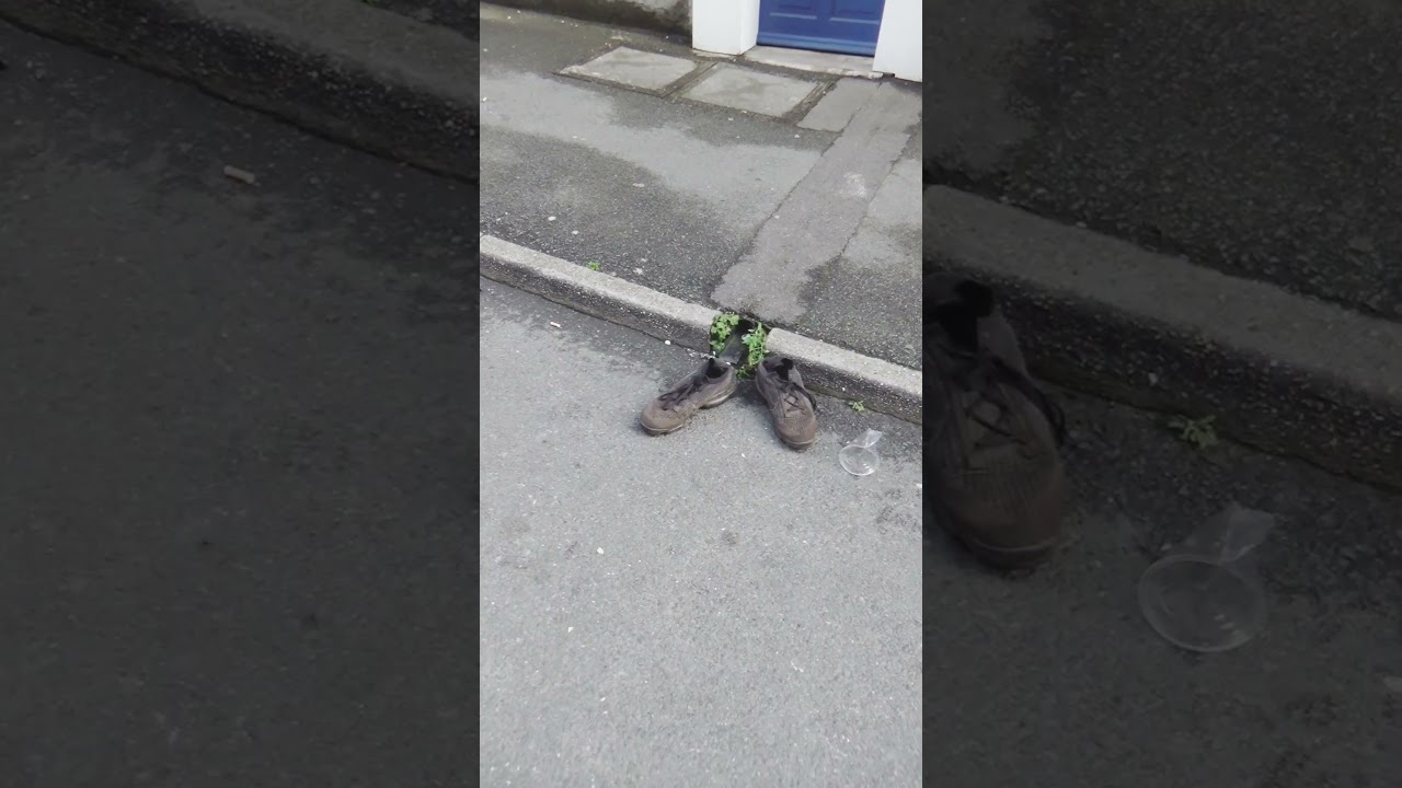 Sheffield City Centre Weekend Nightlife: What’s Behind the Full Monty and Litter Issues? 🎉