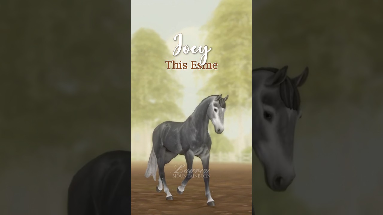 Horse Influencers & Their Horses in SSO 🐴