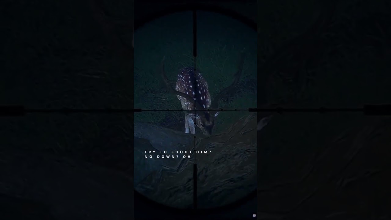 First Diamond Axis Deer on Emerald Coast! 🦌