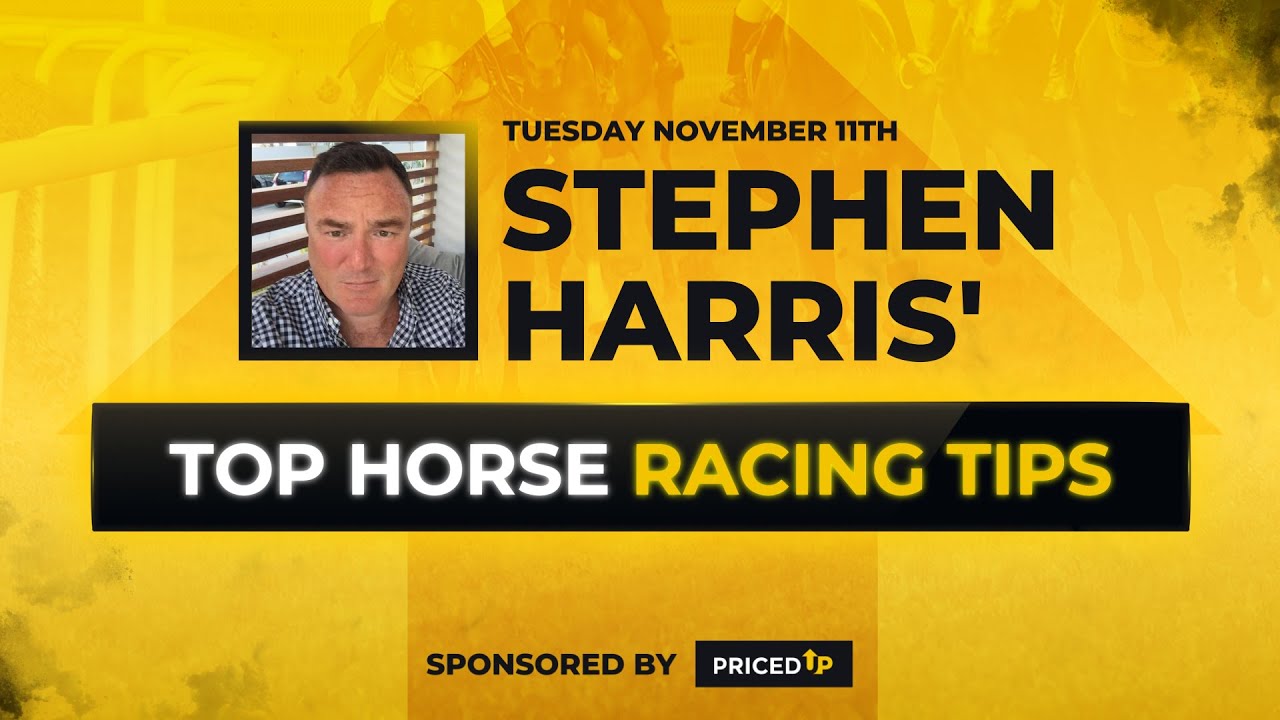 Expert Horse Racing Tips by Stephen Harris for Tuesday, Nov 11 ๐