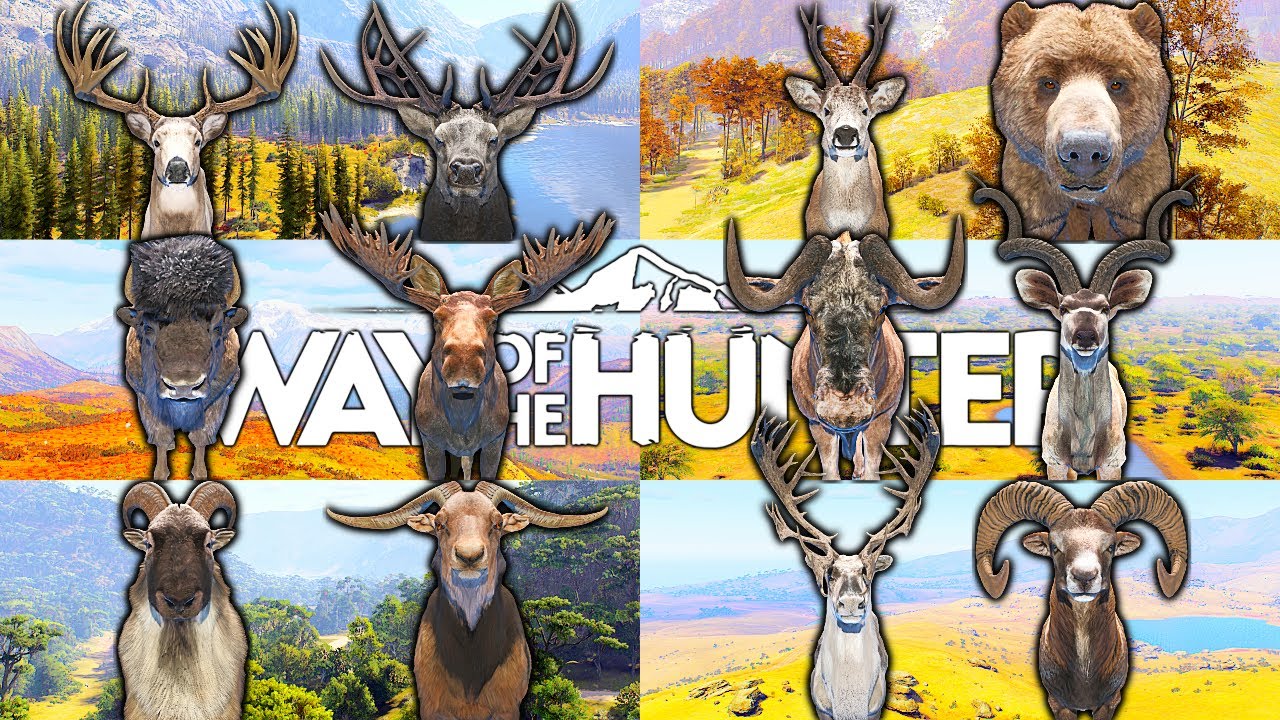 6 Way of the Hunter: 6 Maps & 12 Five-Star Animals 🦌
