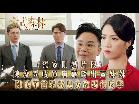 金式森林｜（有獨家刪減片段)陳浚霆收買唐嘉麟出賣妹妹 陳曉華當眾數臭方家惡行反擊(繁/簡中字幕)｜第二十三集精華｜TVB劇集｜台慶劇｜港劇｜劇集｜電視劇｜TVB #陳曉華 #羅子溢 #金式森林