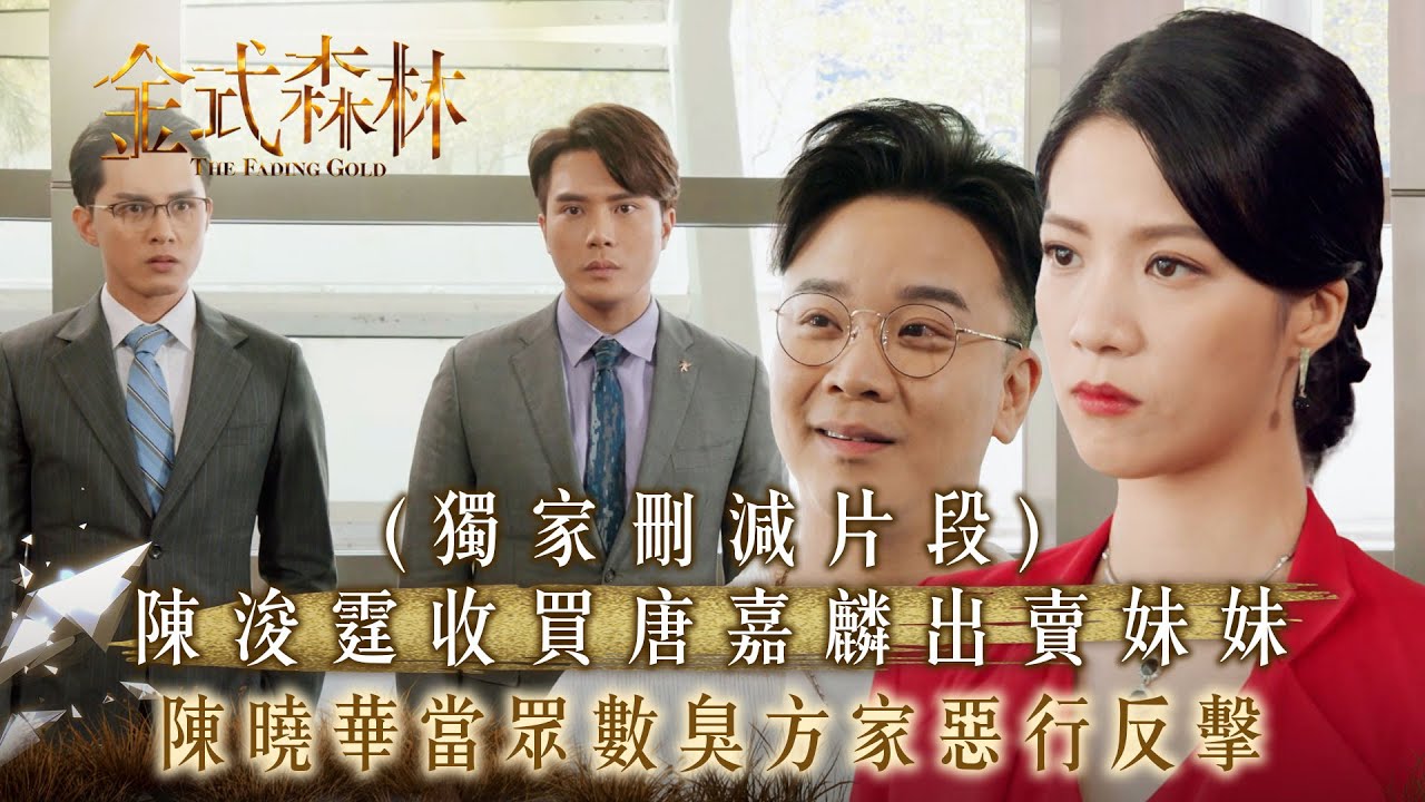 金式森林第23集精華|陳曉華震撼反擊方家惡行,揭露家庭黑幕🔥