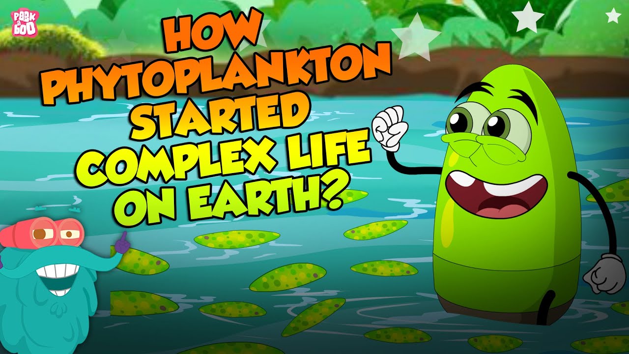 How Phytoplankton Sparked Complex Life 🌱