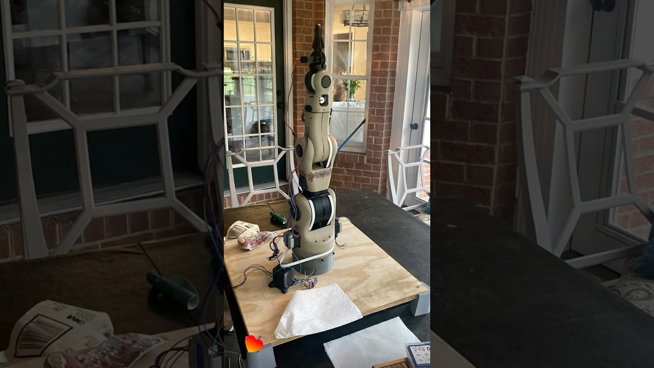 Avoid Wasting $200 on a Poor Robot Arm 🤖