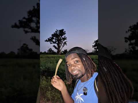 L’affaire du discours du président sénégalais monsieur diomaye faye au Kenya ￼